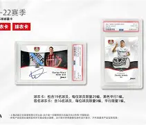 今夜勒沃库森调整名单以备欧联关键时刻上海申花备战法甲，曼城迎欧联关键赛都惊呆了